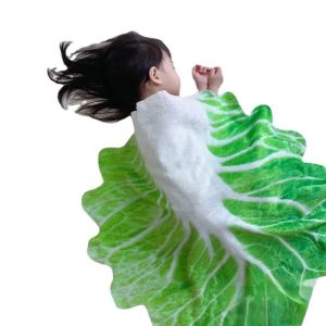 cartoon cabbage plush blanket wholesale flannel designer bed blankets pet big winter custom blankets